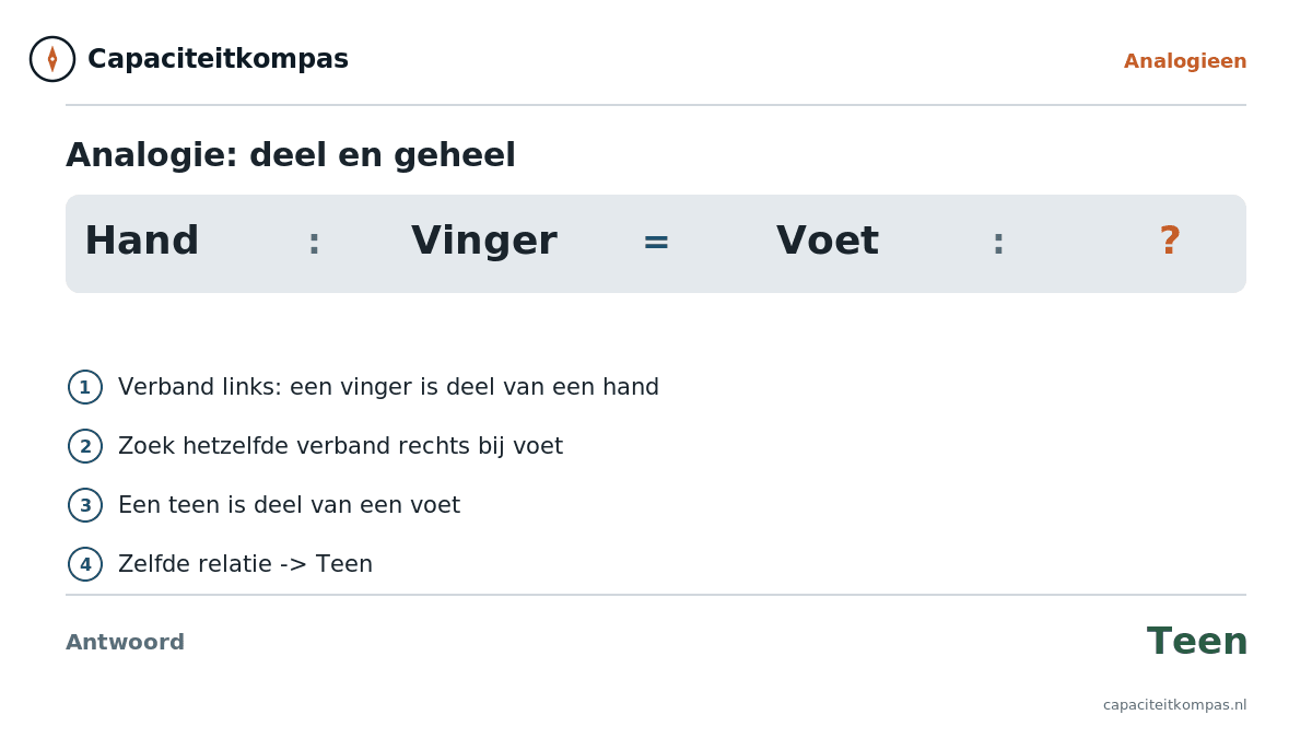 Uitleg analogie Hand tot Vinger als Voet tot Teen (deel-geheel) - Capaciteitkompas